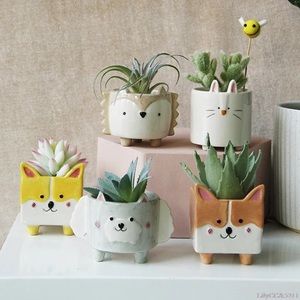 Succulent pot plant rabbit shiba ceramic garden home decor cute animal cartoon